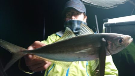 シースナイパー海龍 釣果