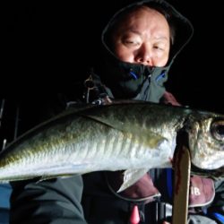 シースナイパー海龍 釣果