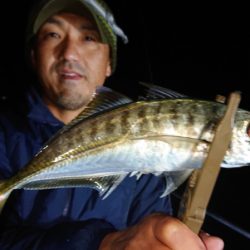 シースナイパー海龍 釣果