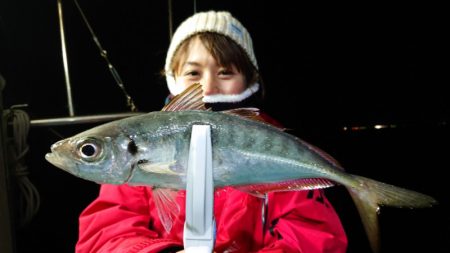 シースナイパー海龍 釣果