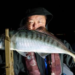 シースナイパー海龍 釣果