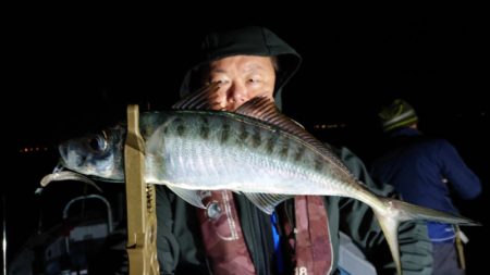 シースナイパー海龍 釣果