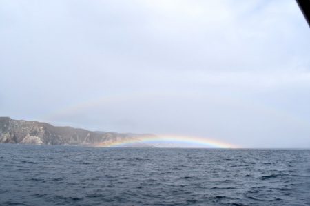 渡船屋たにぐち 釣果