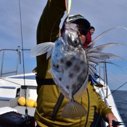 渡船屋たにぐち 釣果