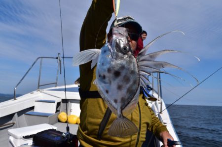 渡船屋たにぐち 釣果