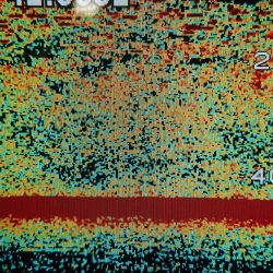 シースナイパー海龍 釣果