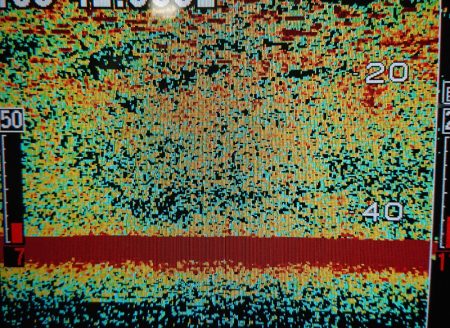 シースナイパー海龍 釣果