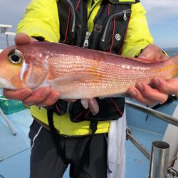 第二八坂丸 釣果