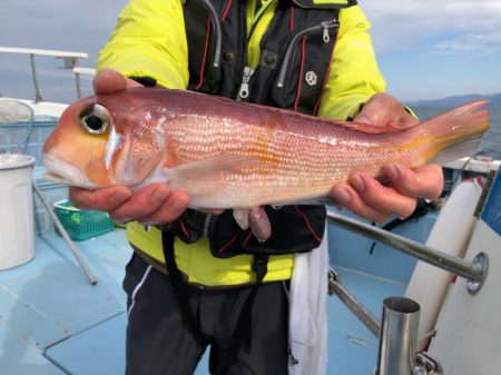 第二八坂丸 釣果