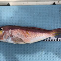 第二八坂丸 釣果