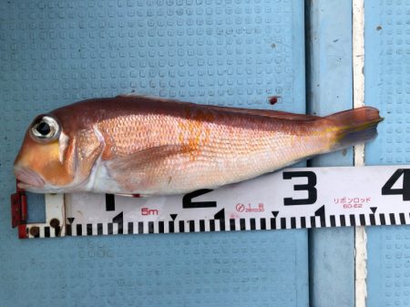 第二八坂丸 釣果