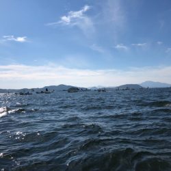 末広丸(熊本) 釣果