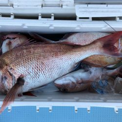 第二八坂丸 釣果