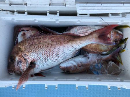 第二八坂丸 釣果