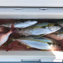 第二八坂丸 釣果