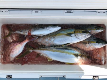 第二八坂丸 釣果