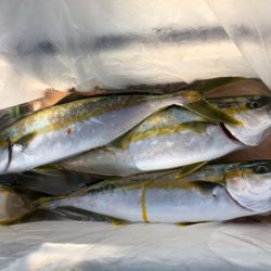 第二八坂丸 釣果