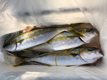 第二八坂丸 釣果