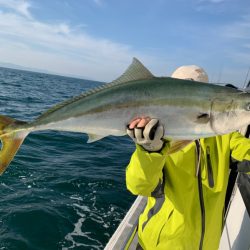 SeaRide(シーライド) 釣果