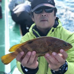 丸万釣船 釣果