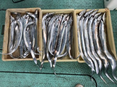ヤザワ渡船 釣果