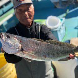 丸万釣船 釣果