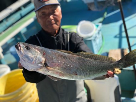 丸万釣船 釣果
