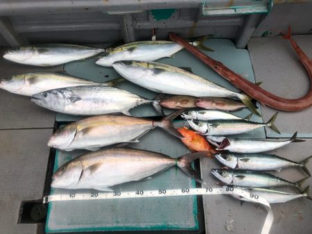 ＴＡＲＯＭＡＲＵ 釣果