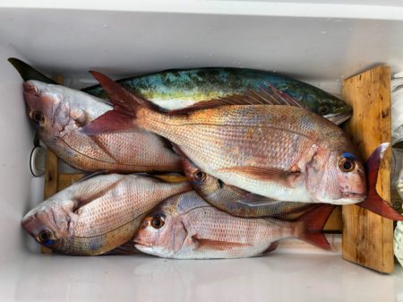 第二八坂丸 釣果