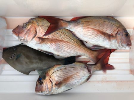 第二八坂丸 釣果