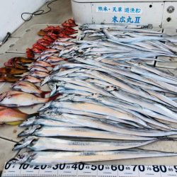 末広丸(熊本) 釣果