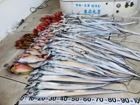 末広丸(熊本) 釣果