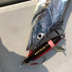 末広丸(熊本) 釣果