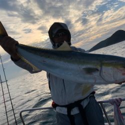 SeaRide(シーライド) 釣果