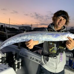 SeaRide(シーライド) 釣果