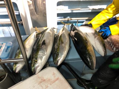 第二八坂丸 釣果