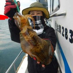 きずなまりん 釣果