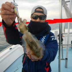 きずなまりん 釣果