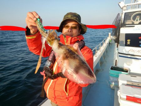 きずなまりん 釣果