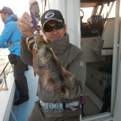 きずなまりん 釣果