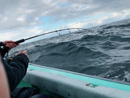 海友丸 釣果