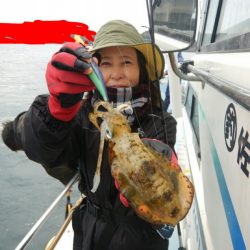 きずなまりん 釣果