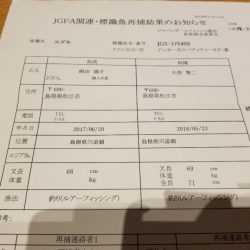 アマテラス 釣果