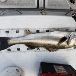 海龍丸（島根） 釣果