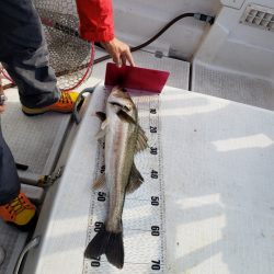 海龍丸（島根） 釣果