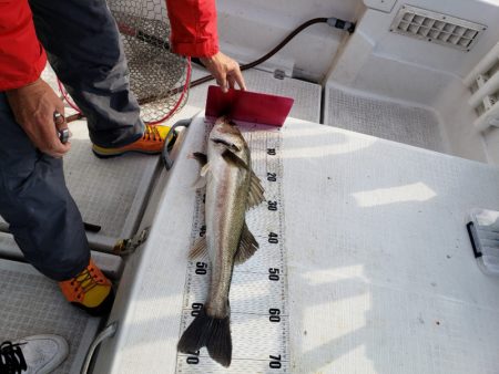 海龍丸（島根） 釣果