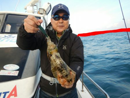 きずなまりん 釣果