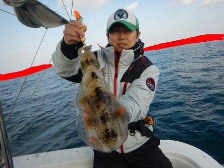 きずなまりん 釣果