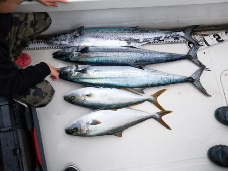 アマテラス 釣果