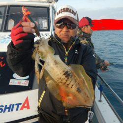 きずなまりん 釣果